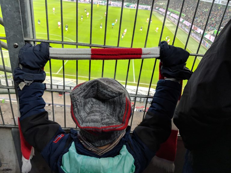 Vollzahler Vollzahler
